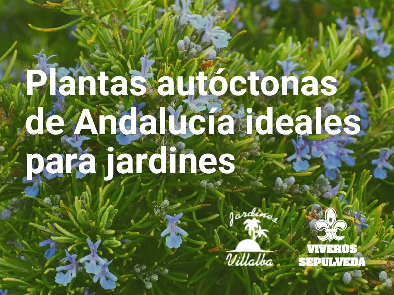 plantas autóctonas Andalucía jardín