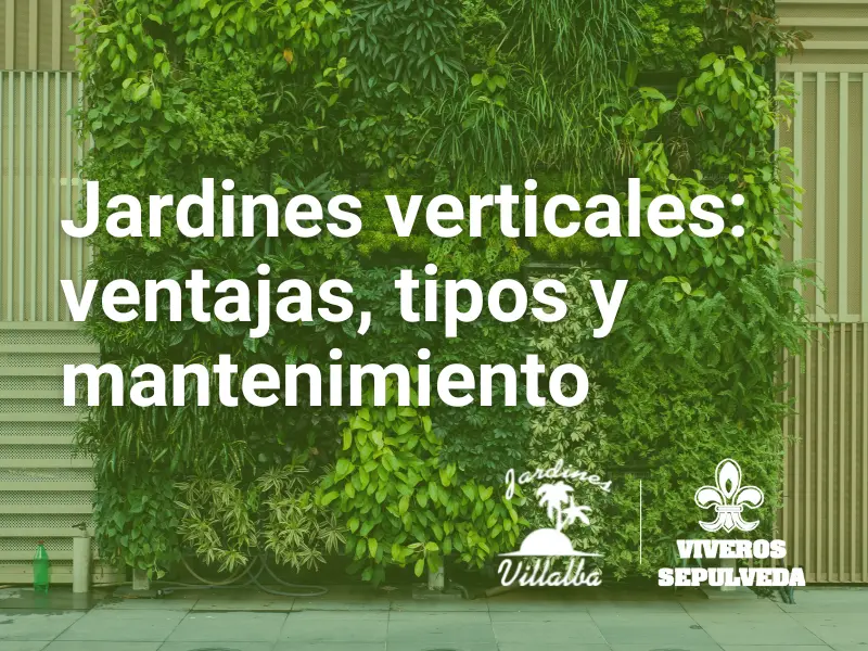 jardines verticales mantenimiento