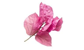 diseño de terrazas para restaurantes en Estepona