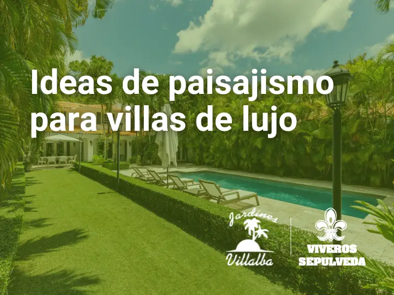 Ideas de paisajismo para villas de lujo